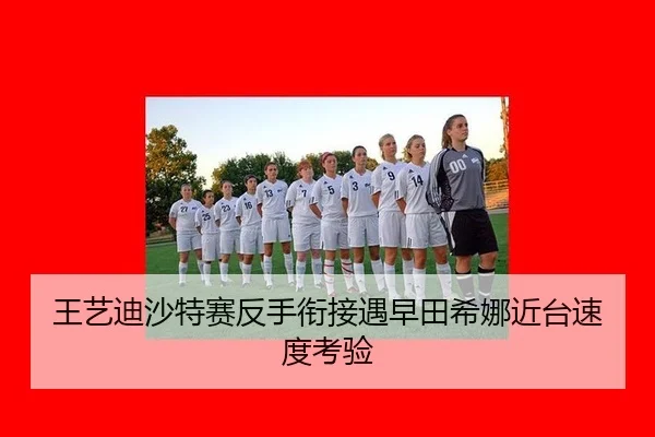wang-yi-di-sha-te-sai-fan-shou-xian-jie-yu-zao-tian-xi-na-jin-tai-su-du-kao-yan-2-279.jpg