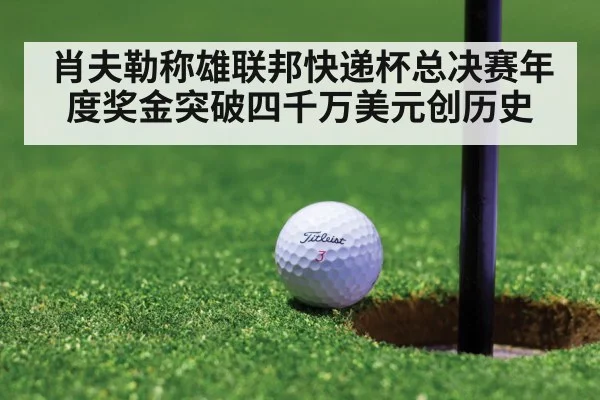 肖夫勒称雄联邦快递杯总决赛年度奖金突破四千万美元创历史